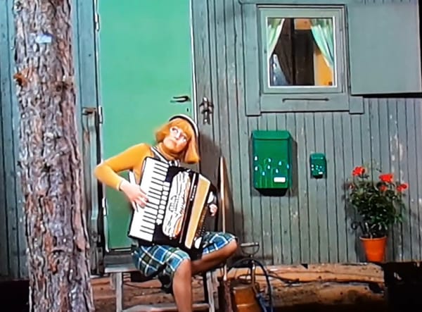 Gränsvarelsen Birgitta Andersson